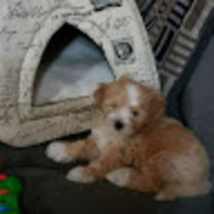 Meet your Posher, Friends forever